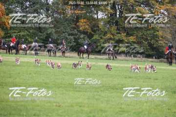 2023-10-22_13-38-09_04800 2023-10-22_13-38-09_04800