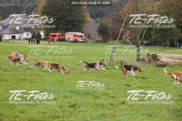 2023-10-22_13-38-15_04847 2023-10-22_13-38-15_04847