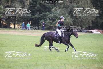 2023-10-22_13-39-34_05233 2023-10-22_13-39-34_05233