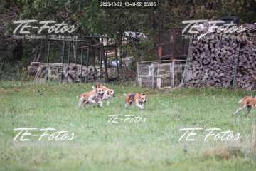 2023-10-22_13-40-52_05305 2023-10-22_13-40-52_05305