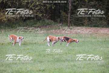 2023-10-22_13-40-55_05318 2023-10-22_13-40-55_05318