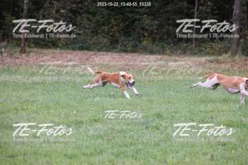 2023-10-22_13-40-55_05326 2023-10-22_13-40-55_05326