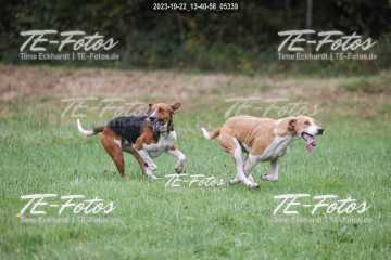 2023-10-22_13-40-58_05339 2023-10-22_13-40-58_05339