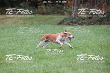 2023-10-22_13-41-00_05346 2023-10-22_13-41-00_05346