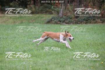 2023-10-22_13-41-00_05347 2023-10-22_13-41-00_05347