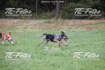 2023-10-22_13-41-02_05355 2023-10-22_13-41-02_05355