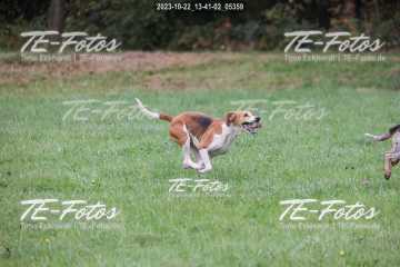 2023-10-22_13-41-02_05359 2023-10-22_13-41-02_05359