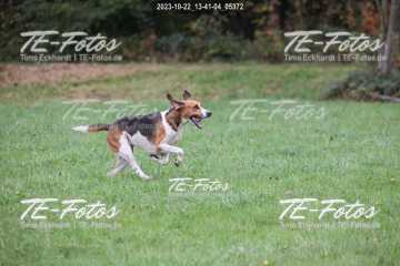 2023-10-22_13-41-04_05372 2023-10-22_13-41-04_05372