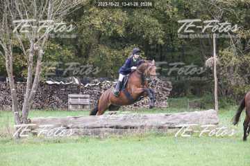 2023-10-22_13-41-28_05396 2023-10-22_13-41-28_05396