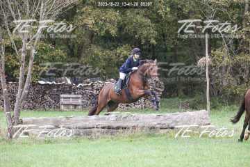 2023-10-22_13-41-28_05397 2023-10-22_13-41-28_05397