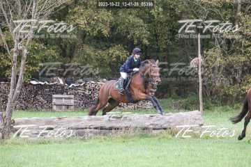 2023-10-22_13-41-28_05398 2023-10-22_13-41-28_05398