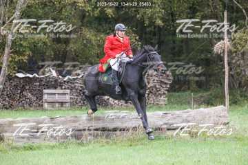 2023-10-22_13-41-29_05403 2023-10-22_13-41-29_05403