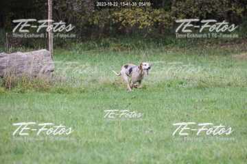 2023-10-22_13-41-35_05410 2023-10-22_13-41-35_05410