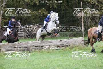 2023-10-22_13-41-59_05547 2023-10-22_13-41-59_05547