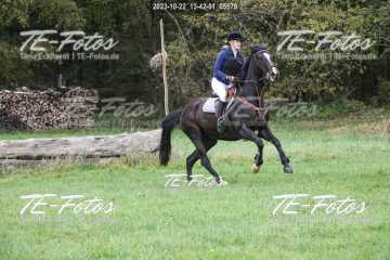 2023-10-22_13-42-01_05570 2023-10-22_13-42-01_05570