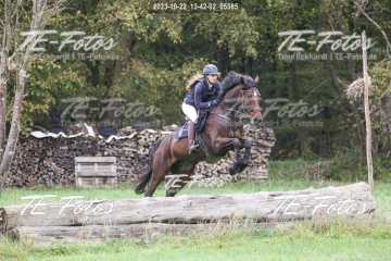 2023-10-22_13-42-02_05585 2023-10-22_13-42-02_05585