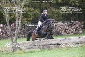 2023-10-22_13-42-24_05619 2023-10-22_13-42-24_05619