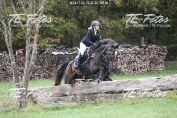 2023-10-22_13-42-24_05620 2023-10-22_13-42-24_05620