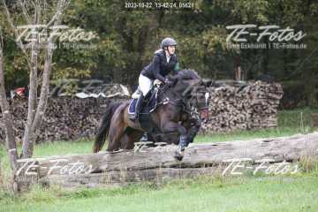 2023-10-22_13-42-24_05621 2023-10-22_13-42-24_05621