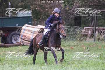 2023-10-22_13-42-28_05644 2023-10-22_13-42-28_05644