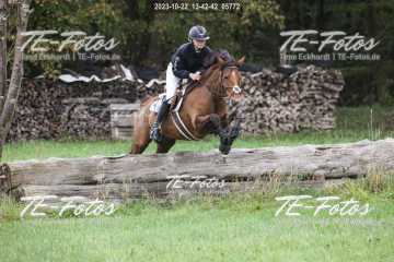 2023-10-22_13-42-42_05772 2023-10-22_13-42-42_05772