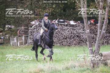 2023-10-22_13-42-45_05786 2023-10-22_13-42-45_05786