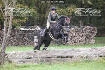 2023-10-22_13-42-47_05802 2023-10-22_13-42-47_05802