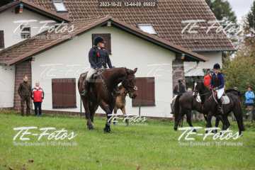 2023-10-22_13-44-09_05822 2023-10-22_13-44-09_05822