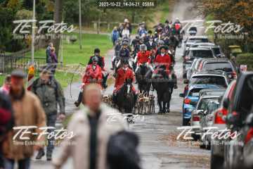 2023-10-22_14-24-21_05886 2023-10-22_14-24-21_05886