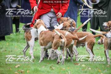 2023-10-22_14-28-08_06237