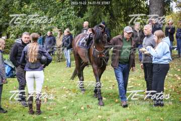 2023-10-22_14-37-19_07067 2023-10-22_14-37-19_07067