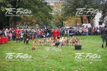 2023-10-22_14-40-32_07132 2023-10-22_14-40-32_07132