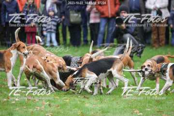 2023-10-22_14-41-10_07224 2023-10-22_14-41-10_07224