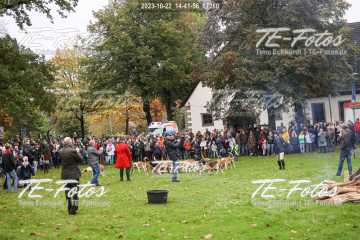 2023-10-22_14-41-56_07280 2023-10-22_14-41-56_07280