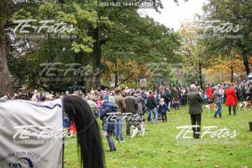 2023-10-22_14-41-57_07281 2023-10-22_14-41-57_07281