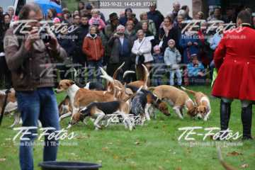 2023-10-22_14-43-09_07297 2023-10-22_14-43-09_07297