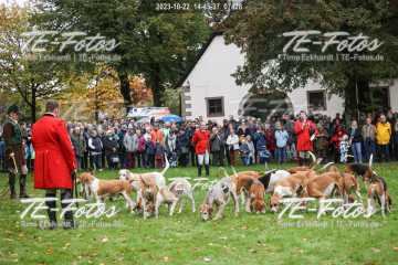 2023-10-22_14-45-37_07428 2023-10-22_14-45-37_07428