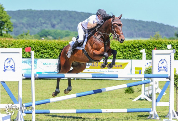 Reitturnier Moringen 2017