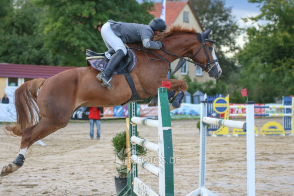 S* Springprüfung beim Reitturnier Bodenfelde