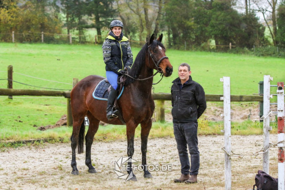 Reiten auf dem Sandplatz
