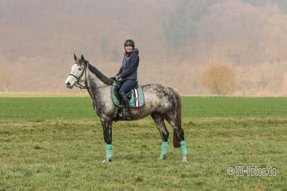 Portrait & Tierfotografie