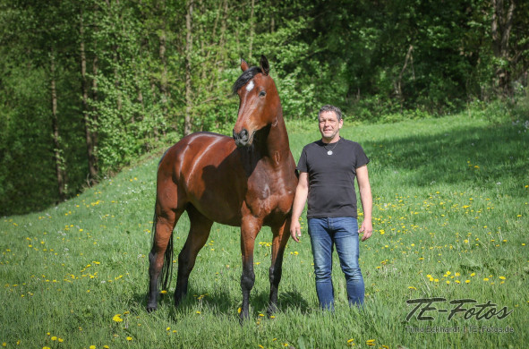Tiershooting mit Pferd, Hund oder anderen Tieren