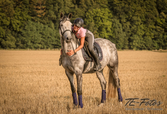 Tiershooting mit Pferd, Hund oder anderen Tieren